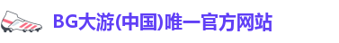 BG大游
